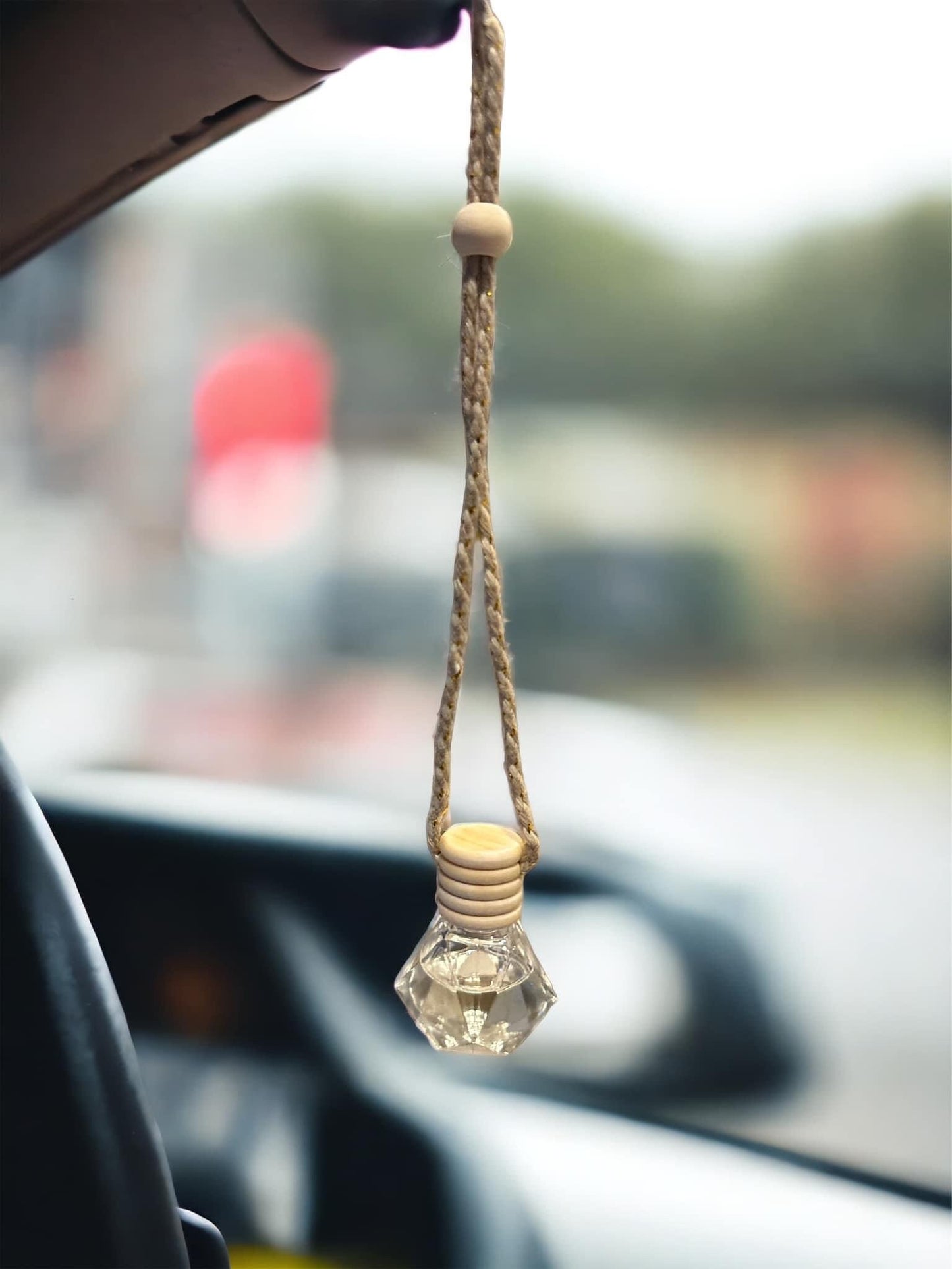 Trendy Scent Diffuser/Hanging Car Air Freshner/Room Freshner | Leigh's Favorite Scents |