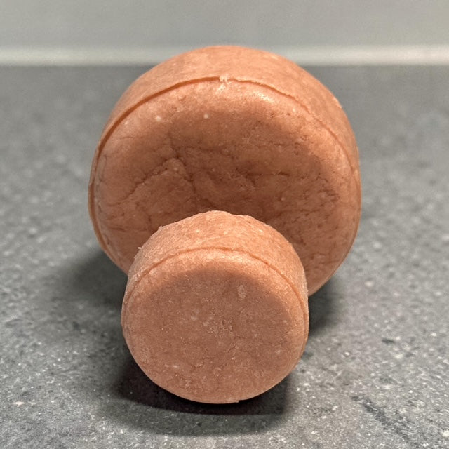 Oily Hair Shampoo Bar | ALL Natural | Color Treated Hair SAFE |