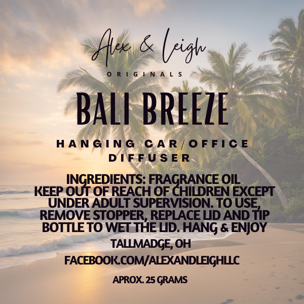 Trendy Scent Diffuser | Hanging Car Air Freshener | Room Deodorizer | Alex's Favorite Scents |