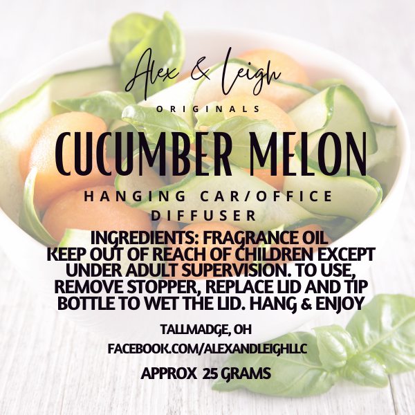 Trendy Scent Diffuser | Hanging Car Air Freshener | Room Deodorizer | Alex's Favorite Scents |